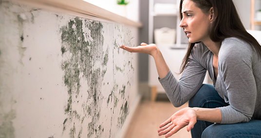 Schimmel rund um Problemzone Fenster