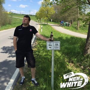 In der natur mit vielen bäumen