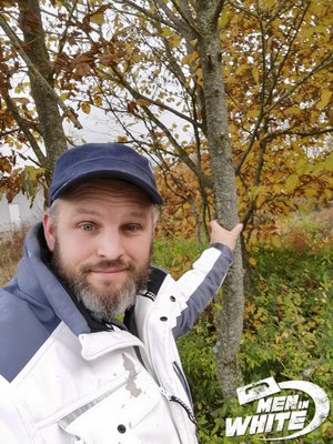 Mein Freund Der Baum