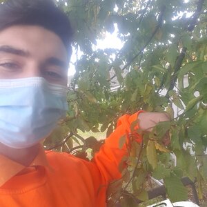 In der handwerkskammer