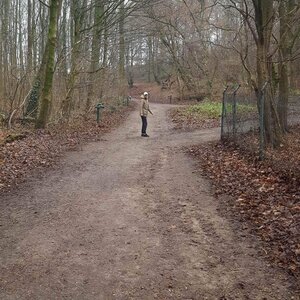Einen schönen Spaziergang durch den Wald :)