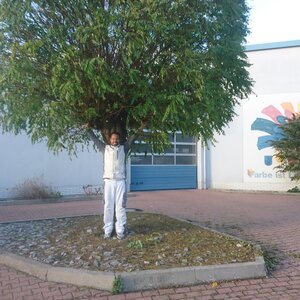 Ein Mann... Ein Baum! Freunde seit Pflanzung vor 30 Jahren...