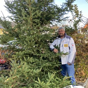 Mein Freund der Baum