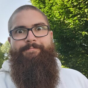 Bäume rund um der Fassade