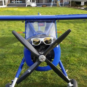 Mit Knauf hoch hinaus