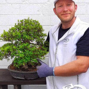 Ein Gipser und sein Hobby