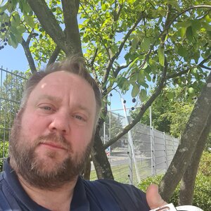 Auch kleine Bäume können buddys sein