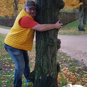 Brühl Schlosspark verliebt in den BAUM