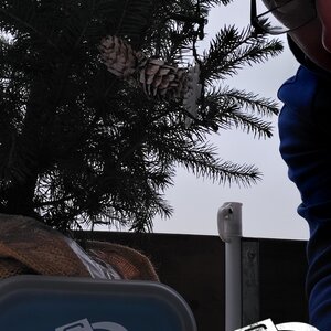 Leckeres Frühstück