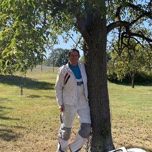 Obstbäume für Gesunde Ernährung und Luft nicht nur während der Frühstückspause