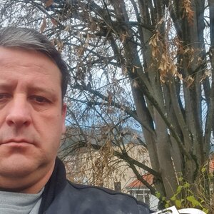 Mein Freund der Baum