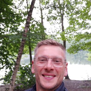 Einen schönen Spaziergang durch den Wald