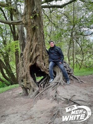 Ein Wunder schöner alter Baum