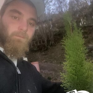 Es müssen auch mal neue Bäumchen gepflanzt werden!