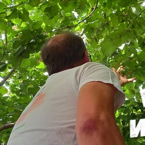 Immer wieder grün, dank WDVS, auch von Knauf