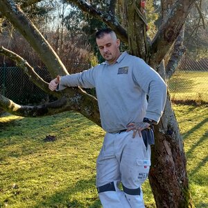 Der gute alte Apfelbaum