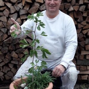 Jeder hat mal klein angefangen