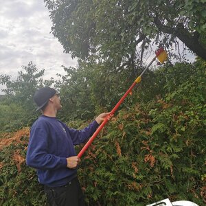 Bäume spenden Lebensmittel :)