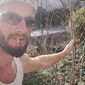 Noch ein kleines Bäumchen.