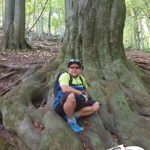 Angefangen bei den Wurzeln