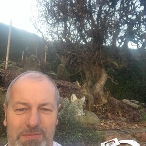 Gruppenbild mit Fuchs und Haselnussbaum und mir *