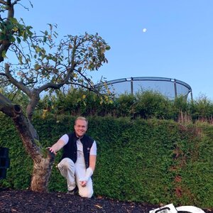 Der gute Apfelbaum trägt nächstes Jahr wieder seine Früchte.