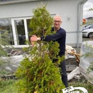 Bernd versucht den Baum festzuhalten