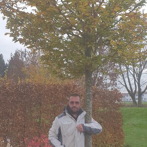 Mein Baum und ich sind fest miteinander verwachsen